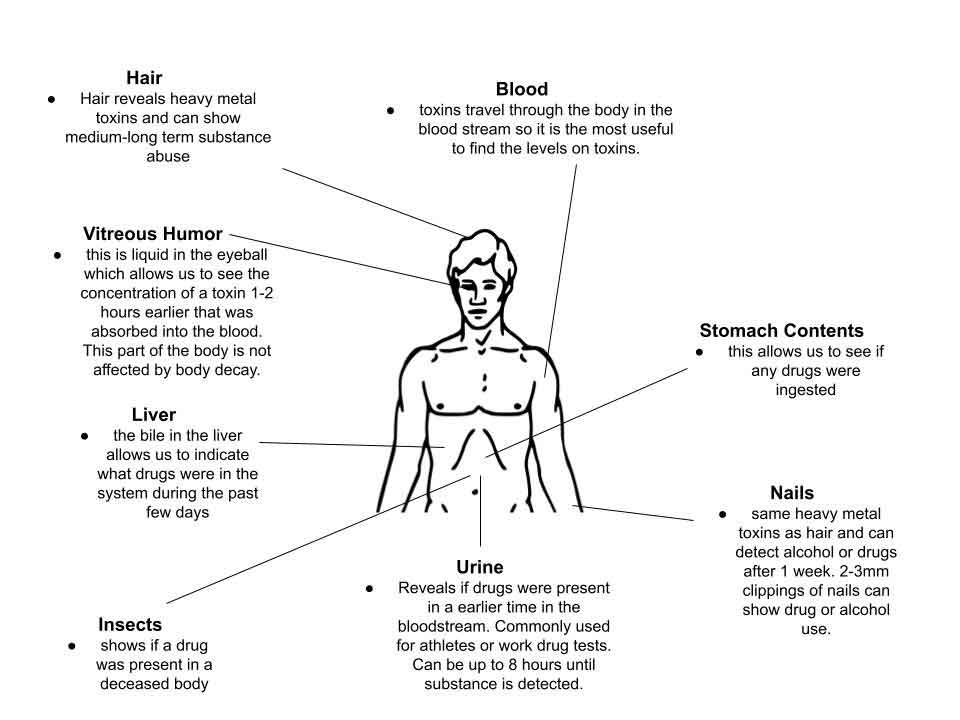 Sentence Using Toxicology