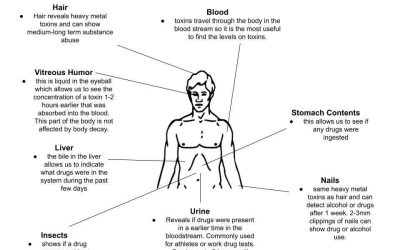 Evidence-based Toxicology