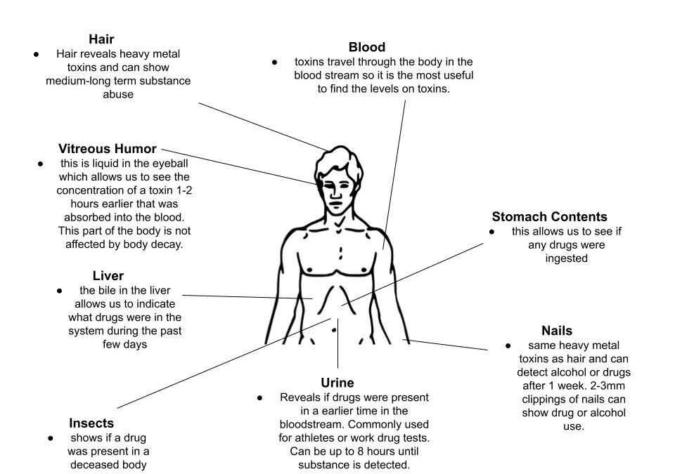 Evidence-based Toxicology