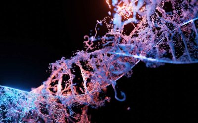 Finding Hidden Messages in DNA (Bioinformatics I)