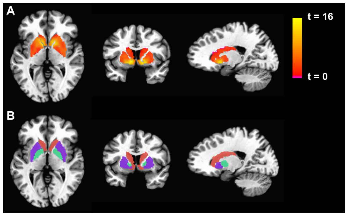 Introduction to Neurohacking In R