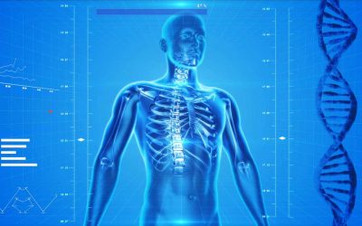 Human Anatomy: Musculoskeletal Cases