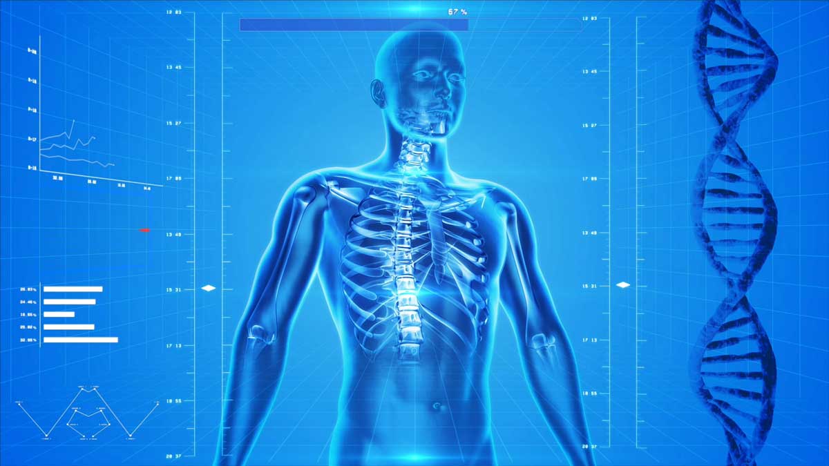 Human Anatomy: Musculoskeletal Cases