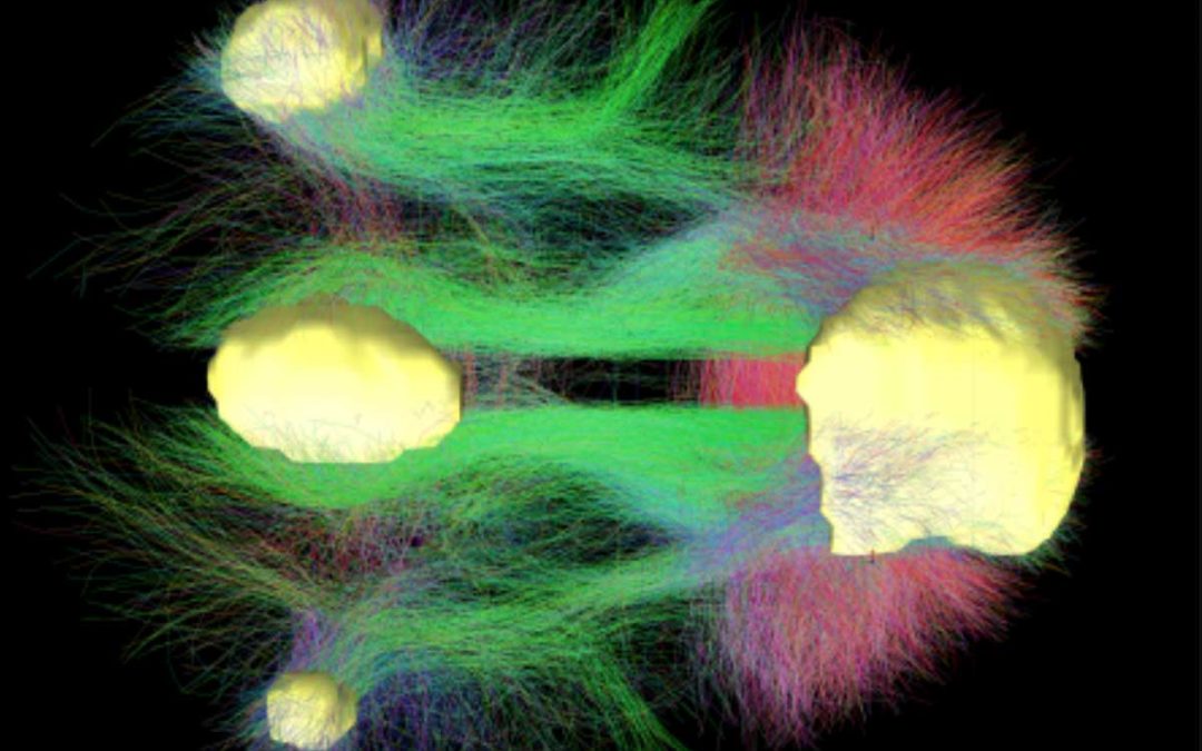 Fundamentals of Neuroscience, Part 2: Neurons and Networks