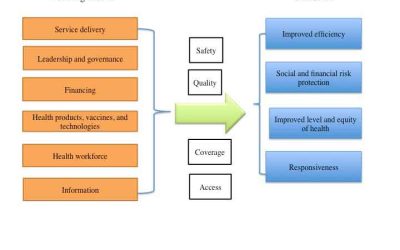 Understanding and Strengthening Health Systems